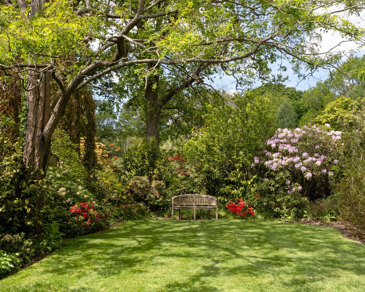 A tranquil garden scene featuring a bench surrounded by lush greenery and colorful flowers.